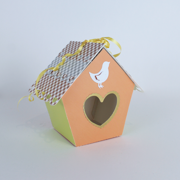DIY Birdhouse Kits