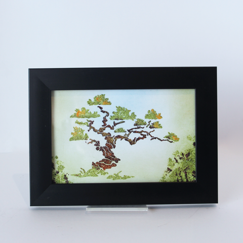 Bonsai Tree Frames